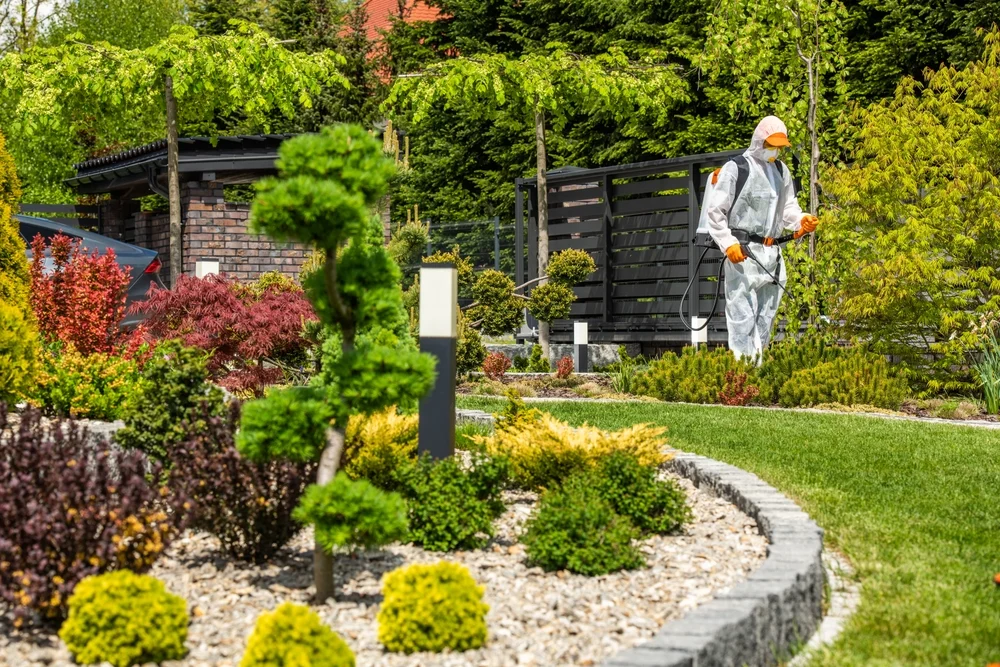 Local SEO for Pest Control