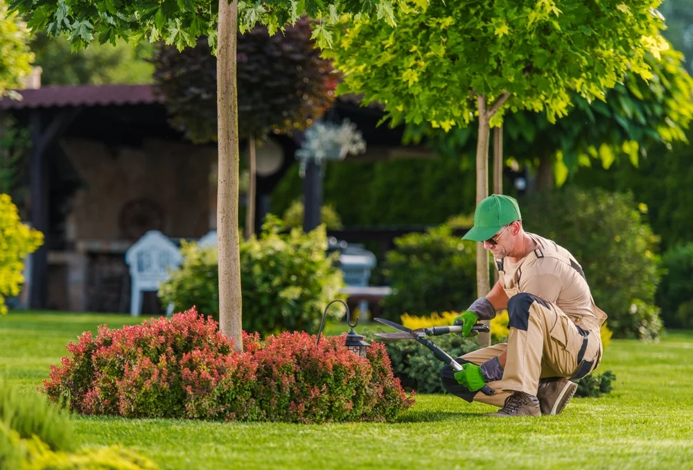 local seo for landscapers